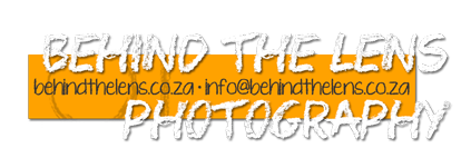 btl-logo-yellow-block-sml