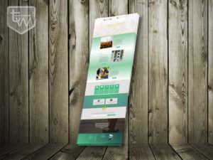 Tech-Warrior__client-website-showcase-06-test-&-development-website