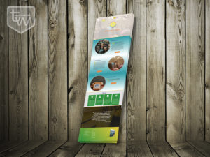 Tech-Warrior__client-website-showcase-07-baratang-initiative